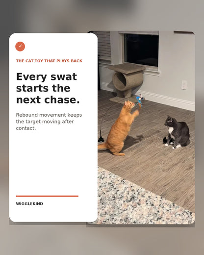 Wigglekind PDP — Every swat starts the next chase