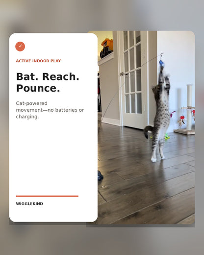 Wigglekind PDP — Active indoor play