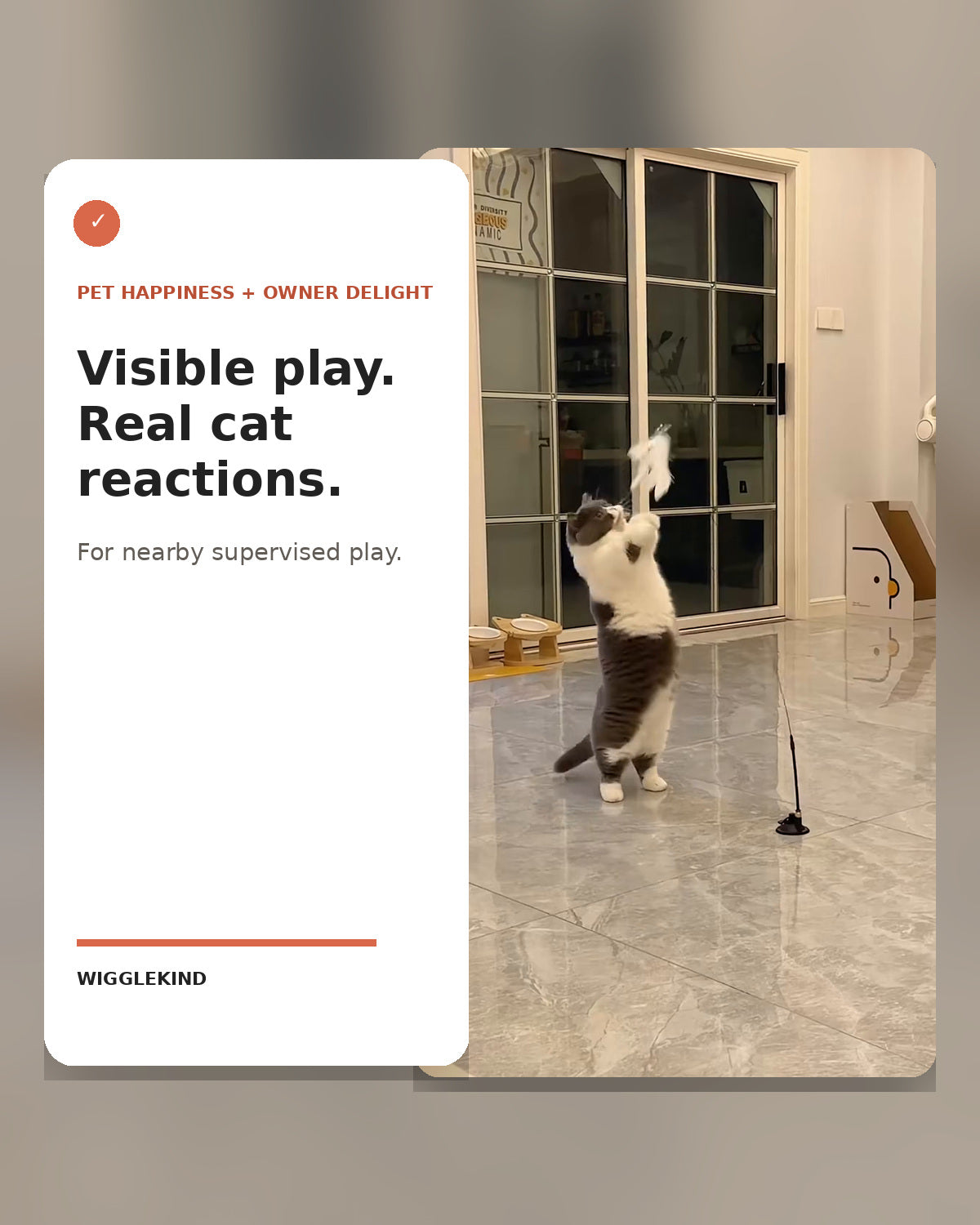 Wigglekind PDP — Visible play and real cat reactions