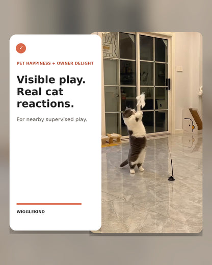Wigglekind PDP — Visible play and real cat reactions