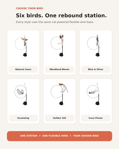 Wigglekind PDP — Six bird styles and one rebound station
