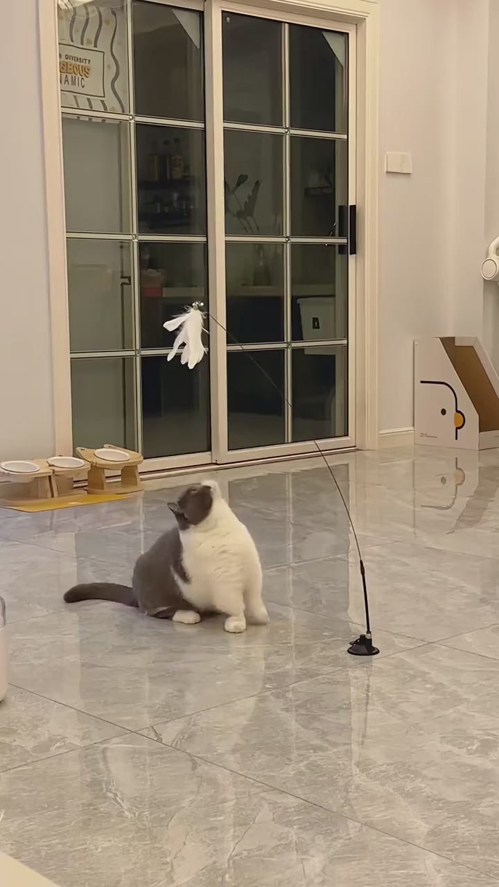 Gray-and-white cat standing to swat the Rebound Bird Cat Toy